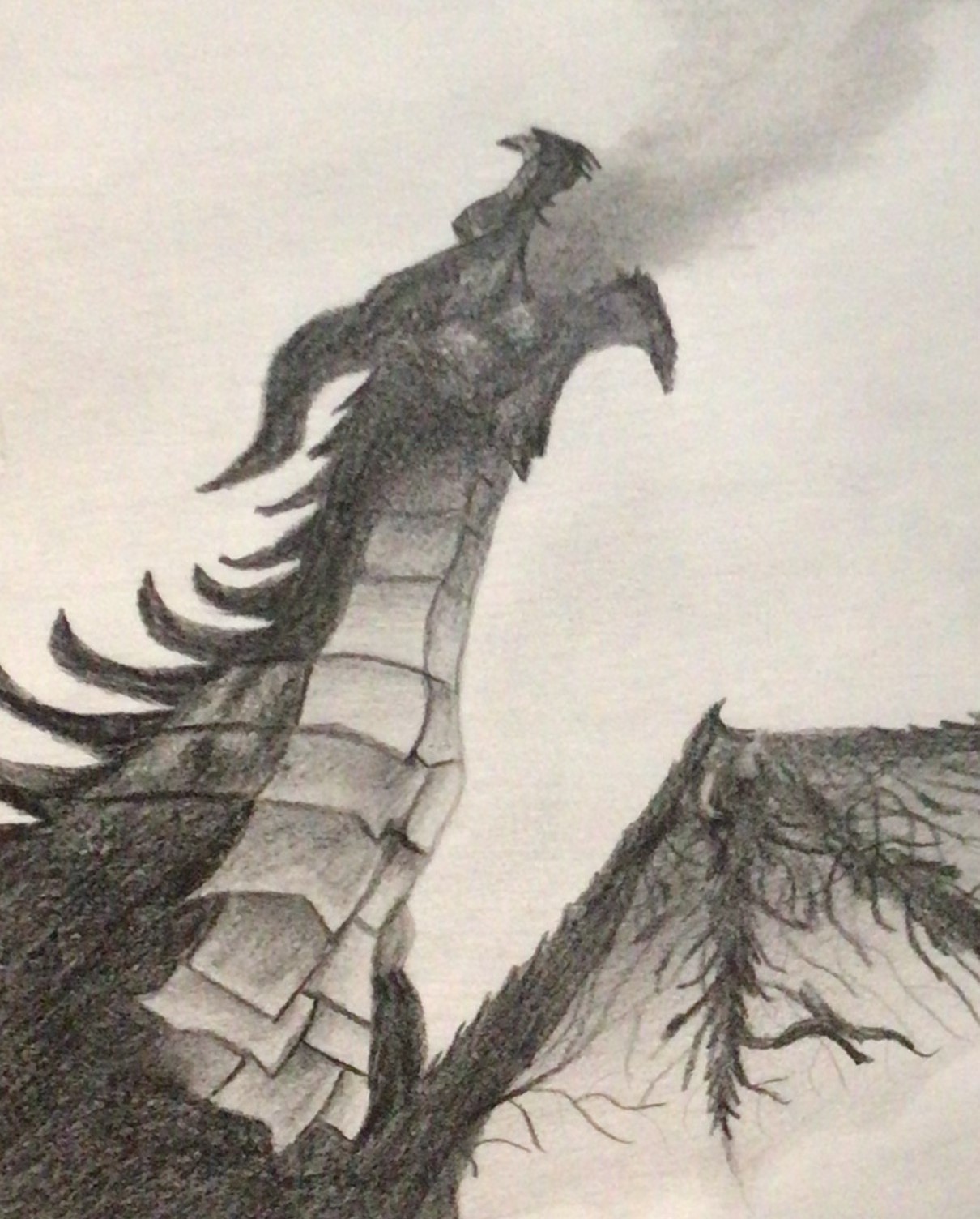 dragon